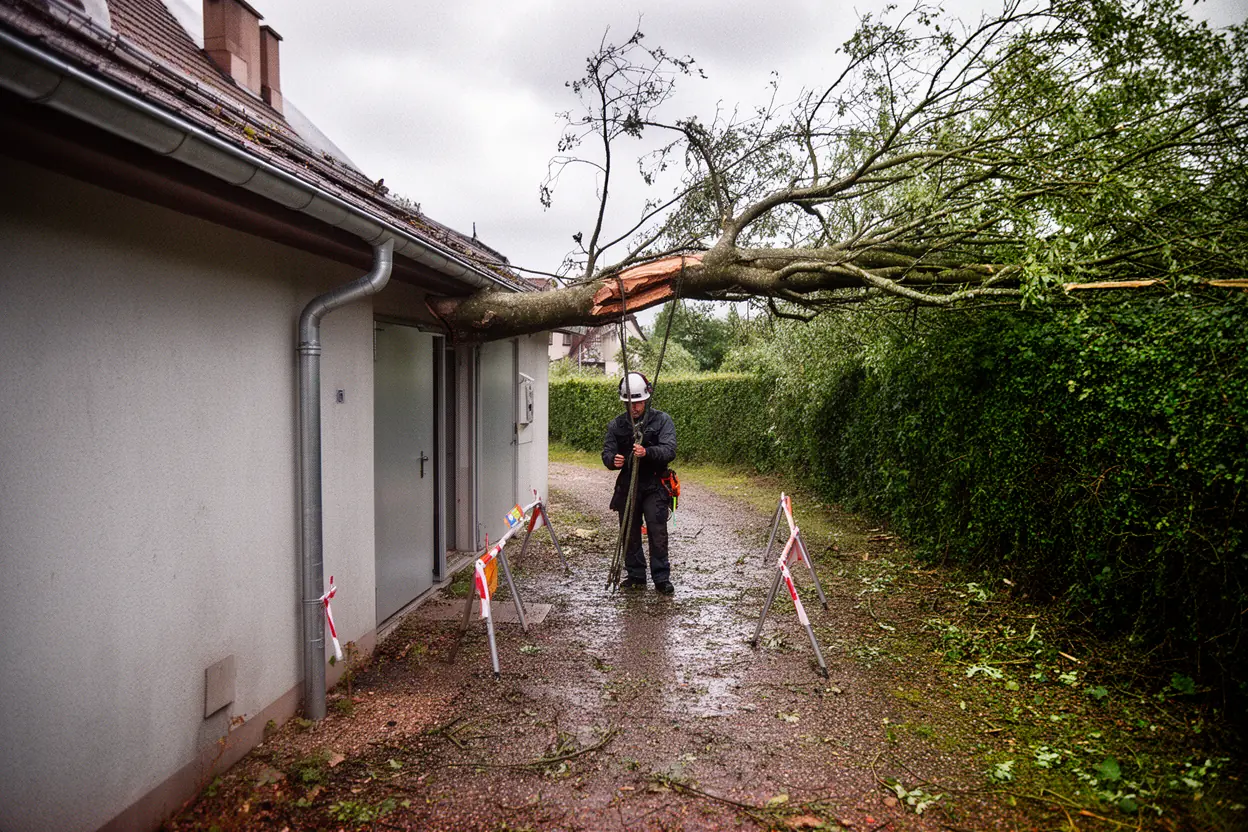 Élagueur sécurisant une branche cassée à Colmar